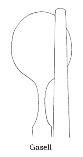 29